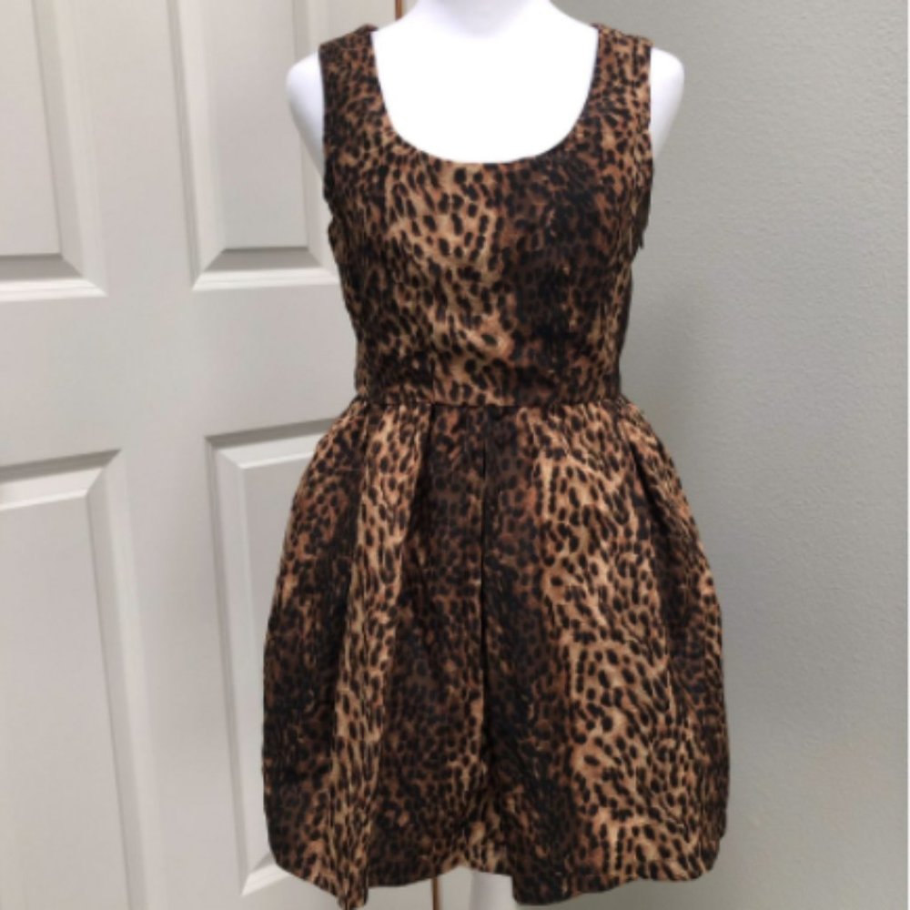 Zara Woman Cheetah Dress